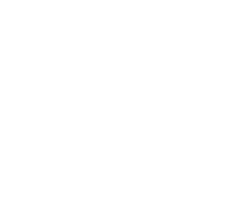 PQ Ear Plugs